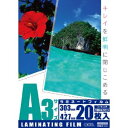 OHM オーム電機 00-5543 ラミネートフィルム(100μ/A3/20枚入り) LAM-FA3203