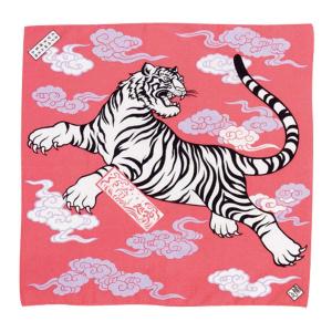 シン・ネットワーク ヒヤシドコロ (HCHYWT) [サイズ : 58]