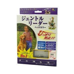 �������ե����२�󥸥˥���� ������ȥ�꡼���������ƥ� ����С� M