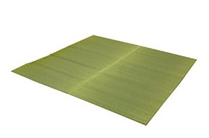 イケヒコ 純国産 い草ラグカーペット 『Fソリッド』 グリーン 約191×191cm（裏:ウレタン）