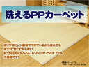イケヒコ 洗える PPカーペット アウトドア ペット ベージュ 江戸間2畳(約174×174cm)