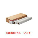 CANON キャノン スタンダード普通紙2 LFM-PPS2/42/64(LFM-PPS2/42/64)