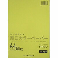 ディーソル(Deesol) リッチライトカラーアツクチ ライトグリーン(HC-A44)「単位:サツ」