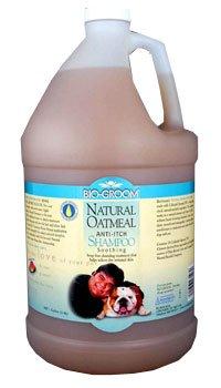 イシイ ナチュラルオートミールシャンプー 9.47L