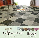 イケヒコ 純国産 い草花ござカーペット 『ブロック』 ブラウン 江戸間1畳(約87×174cm)