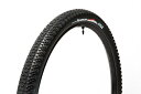 パナレーサー Driver29erPro PR 29X2.20【沖縄・離島への配送不可】