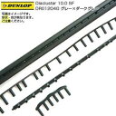 DUNLOP ダンロップ Diacluster 10.0 SF ダイアクラスター10.0 SF DR01204G-グレー×ダークグレー(22y12m) グロメッ...