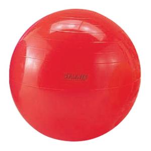 淡野製作所 ギムニク カラ-ボ-ル 55 C-12 (D5431)