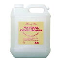 ビューティーエコ BEAUTY ECO 自然のコンディショナー 4L