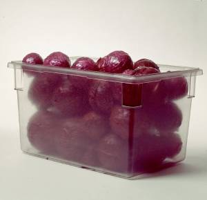 Rubbermaid Commercial Products ラバーメイド　フードストレッジボックス3300　フルサイズ【AHC07300】