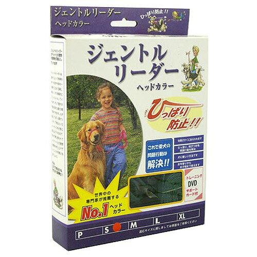 �������ե����२�󥸥˥���� ������ȥ�꡼���������ƥ� ��S