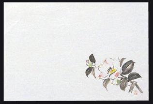 マイン 四季紙・千寿（100枚入）椿　M30−203【QSV22】
