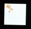 アーテック 遠赤抗菌和紙 花ごよみ懐敷(200枚入)もみじ W4-7【QSK83004】