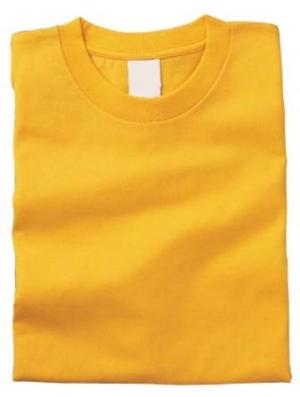 ARTEC カラーTシャツ J 165デイジー(イエロ-)(サイズ150)