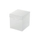 ELECOM エレコム 組立式DVD/CDケース収納BOX/クリア CCD-MB01CR(CCD-MB01CR)