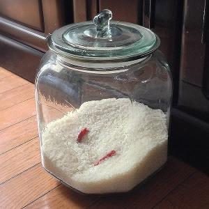 リビング(Living) リビング クッキージャー保存容器 7L