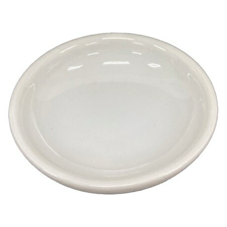 �Ų��ڹ� �ڴﻮ2.0��