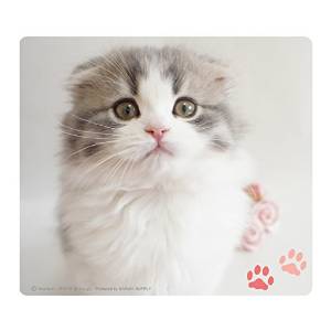 SANWASUPPLY サンワサプライ 動物マウスパッド（スコティッシュフォールド）　品番：MPD-215E