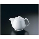 Rosenthal RT エポック 10630−34221ティーポット3人用【RLCC901】