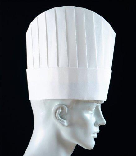 EBM パリスハット　（10枚入）PH−15　ドーム型【SHT4501】