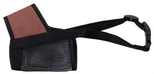 �ڥƥ��� (Petio) �ڥƥ��� ���եȸ��� 2��