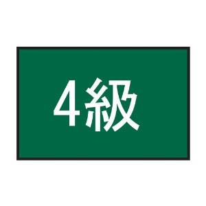 フットマーク 101702　級マーク　　4