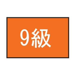 フットマーク 101702　級マーク　　9