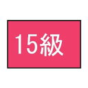 フットマーク 101702 級マーク 15
