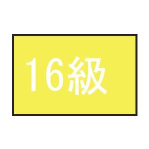 フットマーク 101702　級マーク　　16