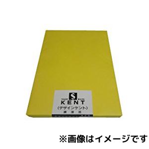 ニューエスケント画用紙8切 10枚入(NO.200 8ツキリ 10マイ)