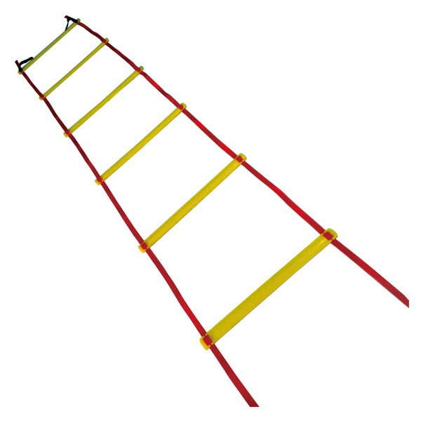 ミカサ ラダートレーナー キ/アカ (FLD2)