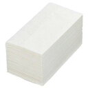オリジナル ペーパーナプキン 8つ折2PLY 1000枚(50枚入×20パック)(TP8N20)