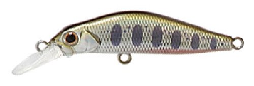 Jackson(ジャクソン) ジャクソン 奏 50mm LYM