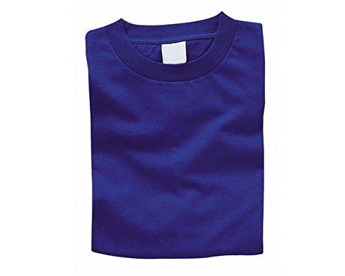 ARTEC カラーTシャツ L 7ロイヤルブルー (b) 優先→38821