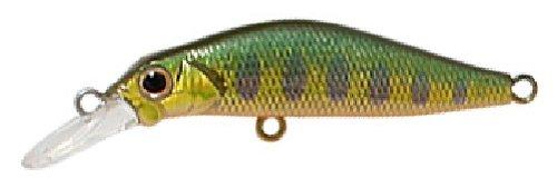 Jackson(ジャクソン) 奏カナデ　50　SKY　キンヤマメ 1個