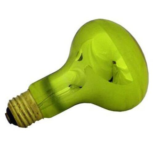 �����ŵ� �ڤޤȤ��㤤10�ĥ��åȡ������ŵ�(��Ǯ�忧����ù�) 110V60W E26 �ܥ����奦�ǥ󥭥奦60W�ҥޥ��ĥ��ܥ��ƥ��襦-10SET������:1...