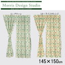 川島織物セルコン Morris Design Studio デイジーシアー スタイルのれん(防炎) 145×150cm EJ1718 LO・ライトオレンジ (1076712)