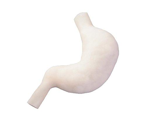 アズワン 訓練用モデル（ナビトレ）　胃縫合モデル　立体NCNK1316288-5875-04