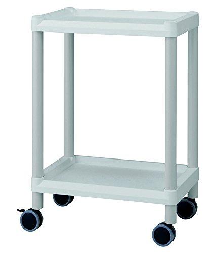 アズワン モバイルイ−ジ−カ−ト(グレ−) 2段 645×447×800NC3-6495-013-6495-02