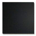 アスカ 枠なしブラックボード ブラック BB019BK 300×300mm