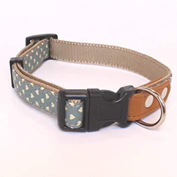 リードッグ プチハートワンタッチカラーSS‐グリーンPHWC‐SS‐GR