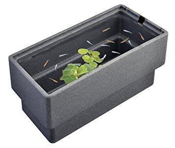 ں߸˸¨ǼGEX(å) Ŭ˿L