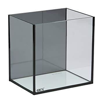 GEX(ジェックス) グラステリア メダカ 横見