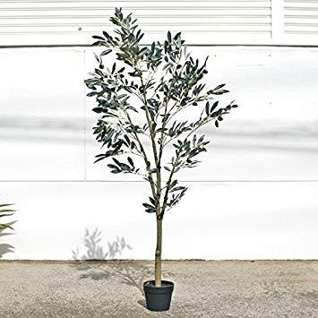 ポッシュリビング(Posh Living) (ポッシュリビング)オリーブツリー 【80954】