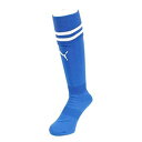 PUMA プーマ プーマ ラインイリ ストッキング 品番:729881 カラー:TEAM ROYAL−WH(11) サイズ:30