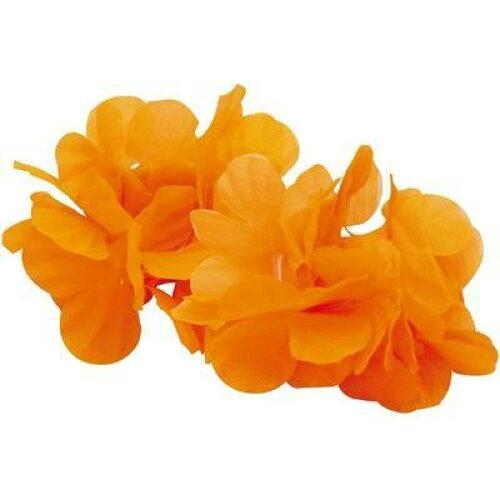 ARTEC はなの腕輪 小 オレンジ