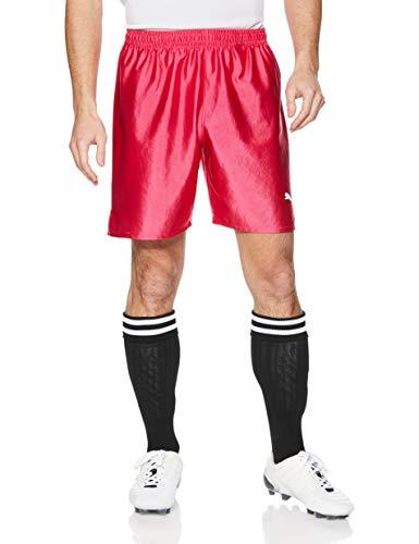 PUMA プーマ プーマ　LIGA　ゲームパンツ　コア　品番：729969　カラー：RASPBERRY−WHI（12）　サイズ：XL