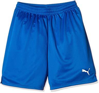 PUMA プーマ プーマ　LIGA　ゲームパンツ　コア　ジュニア　品番：729972　カラー：TEAM　ROYAL－WH（07）　サイズ：160