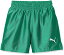 PUMA プーマ プーマ　LIGA　ゲームパンツ　コア　ジュニア　品番：729970　カラー：PEPPER　GREEN－（05）　サイズ：140