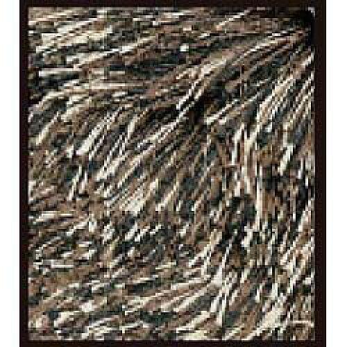 ���ߥΥ�(Suminoe) NGL8/200X250 �饰 �ͥ����饹(200��250cm/�֥饦��)����������